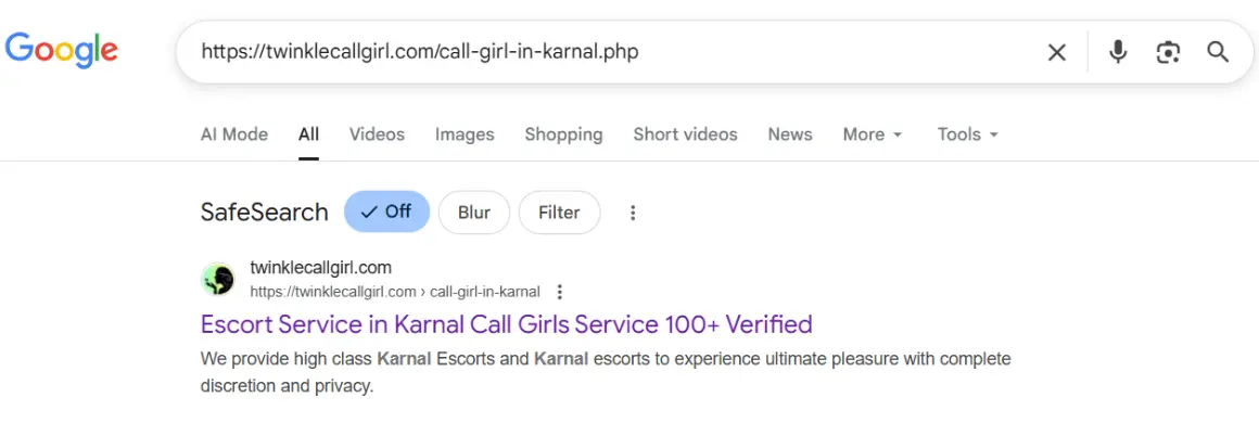 screenshot result keyword type on google 'twinkle escort service in karnal'