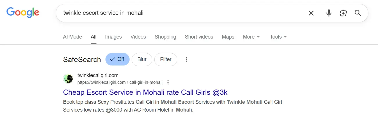 screenshot result keyword type on google 'twinkle escort service in Mohali'