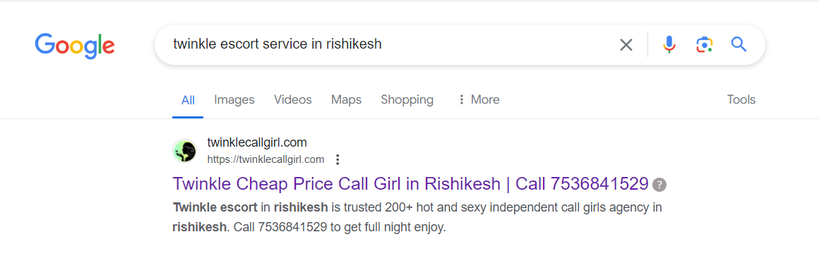 screenshot result keyword type on google 'twinkle escort service in rishikesh'